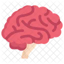 Brain Side  Icon