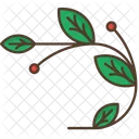 枝、葉、果実 アイコン