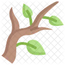 Branch Leaf Tree Icon