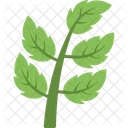 Branch  Icon