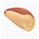 Brazil Nuts Seeds Nut Icon