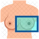 Breast  Icon