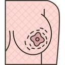 Breast Cancer Mammogram Icon