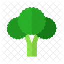 Broccoli  Icon