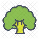 Broccoli  Icon