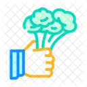 Broccoli Vegetable Overweight Icon