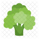 Broccoli  Icon