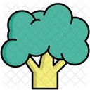 Broccoli  Icon