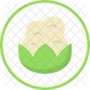 Broccoli  Icon