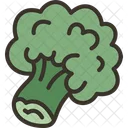 Broccoli  Icon