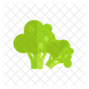 Broccoli  Icon