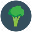 Brocolli  Icon