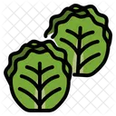 Brussel Sprouts  Icon