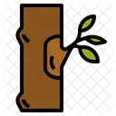 Budding Grafting Propagation Icon