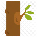 Budding Grafting Propagation Icon