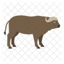 Buffel Tier Kuh Symbol