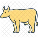 Buffel Vieh Nutzlich Symbol