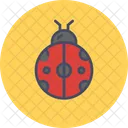 Bug  Icon