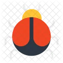 Bug  Icon