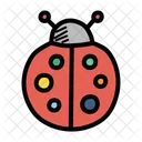 Bug  Icon