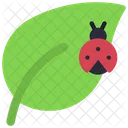 Bug  Icon