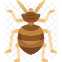 Bug Bed Pest Icon