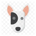 Bull Terrier dog  Icon