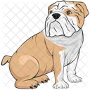 Bulldog  Icon