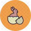 Bunny Rabbit Easter Icon