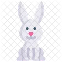 Bunny Rabbit Animal Icône