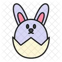 Easter Bunny Rabbit Icon