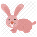 Rabbit Hare Bunny Icon