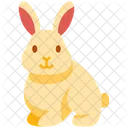 Bunny  Icon