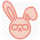 Bunny  Icône