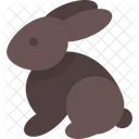 Bunny  Icon