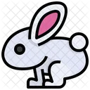 Bunny  Icon