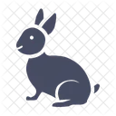 Bunny  Icon