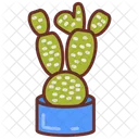 Bunny ear cactus  Icon