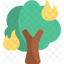 Burn Tree Fire Icon