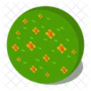 Floral Round Bush Icon