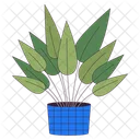 Bushy houseplant  Symbol