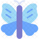 Butterfly  Icon