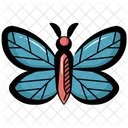 Butterfly  Icon