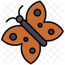 Butterfly  Icon