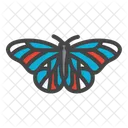 Butterfly  Icon