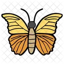 Butterfly  Icon