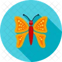 Butterfly  Icon