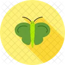 Butterfly  Icon