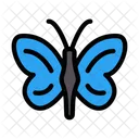 Butterfly  Icon