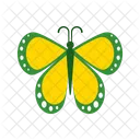 Butterfly  Icon